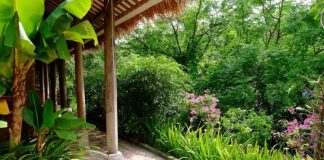 Nông dân Bách Thuận vươn lên làm giàu từ kinh tế vườn