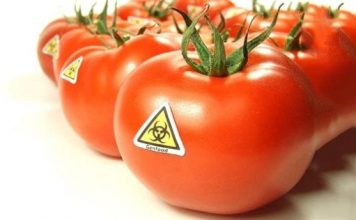 Quản lý ghi nhãn thực phẩm có chứa thành phần biến đổi gen