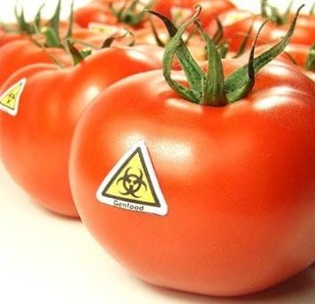 Quản lý ghi nhãn thực phẩm có chứa thành phần biến đổi gen