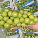 Nho sữa Trung Quốc ở Thái tồn dư thuốc trừ sâu, người tiêu dùng Việt lo lắng