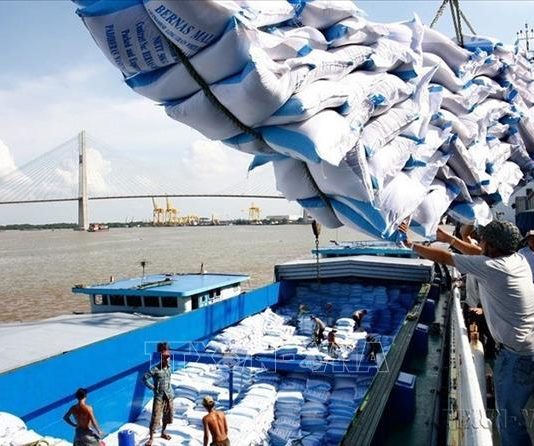 Xuất khẩu gạo với kỷ lục mới trên 8 triệu tấn