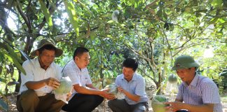 Mô hình mới là động lực giúp nông dân một huyện ở Hà Giang nâng cao thu nhập, giảm nghèo bền vững