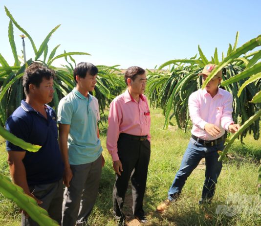 Thiết lập hệ thống xét cấp chứng nhận minh bạch cho sản phẩm hữu cơ