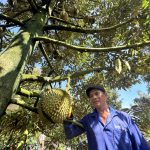 Phát triển kinh tế xanh phải gắn liền với chuyển đổi số