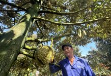 Phát triển kinh tế xanh phải gắn liền với chuyển đổi số