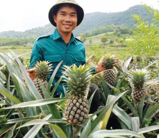 Làn sóng doanh nghiệp mới trong nông nghiệp đang dâng cao