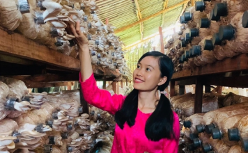 Từ phụ phẩm thành tiền tỷ: Doanh nghiệp nhỏ làm chủ cuộc chơi nông nghiệp tuần hoàn