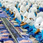 Thủy sản Việt Nam đa dạng sản phẩm và nâng cao giá trị nhằm đảm bảo tăng trưởng xuất khẩu