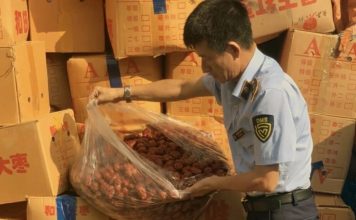 Hà Nội tạm giữ hơn 4 tấn táo đỏ nhập lậu, nguy cơ ảnh hưởng sức khỏe người tiêu dùng