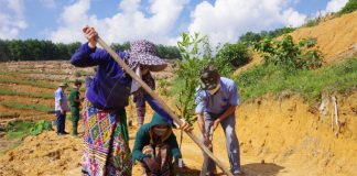 Nông dân miền núi làm gì để thoát nghèo