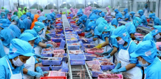 Hai kịch bản cho xuất khẩu thủy sản Việt Nam nửa cuối năm 2025