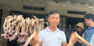 Nông dân Gia Lai làm giàu từ nhung hươu, nai sau thất bại cay đắng