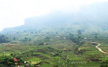 Thôn vùng cao ở Lào Cai, trước chìm trong hoa anh túc nay trồng lúa, ngô, cây ăn quả mà giảm nghèo làm giàu