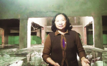 Nữ doanh nhân Thái Nguyên làm giàu từ mô hình nuôi thỏ