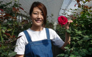 Làm giàu từ hoa hồng organic