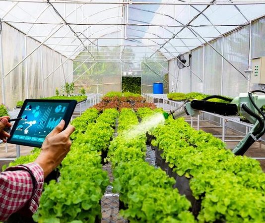 Gỡ ‘hòn đá tảng’ cản bước HTX chuyển đổi số