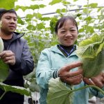 Tận dụng lợi thế, thu hút nhiều nhà đầu tư lớn vào nông nghiệp công nghệ cao