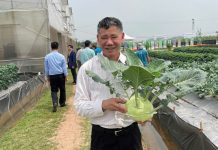 Phát triển thủy lợi, nền tảng vững chắc cho xây dựng nông thôn mới bền vững