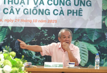 Hoàng Anh Gia Lai đầu tư mạnh mẽ, trồng mới 10.000 ha cà phê