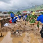 Hỗ trợ hóa chất, giống cây trồng, vật nuôi để khôi phục sản xuất sau lũ