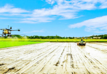 Ngành nông nghiệp và môi trường trong chuyển đổi xanh và phát triển bền vững đất nước