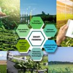 Nông sản Việt bứt phá nhờ… chuyển đổi số