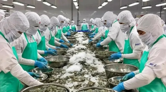 Xuất khẩu tôm quý cuối năm sẽ điều chỉnh giảm, do đâu?