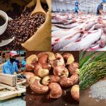 Xuất khẩu nông, lâm, thủy sản tăng tốc, hướng mục tiêu 70 tỷ USD năm 2025
