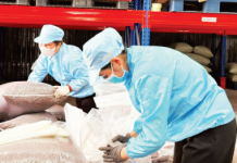 Tạo giá trị gia tăng, bền vững cho nông sản