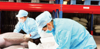 Tạo giá trị gia tăng, bền vững cho nông sản