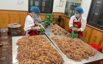 Xã Phúc Hòa đẩy nhanh tiến độ hoàn thiện hồ sơ OCOP – Khẳng định chất lượng đặc sản địa phương