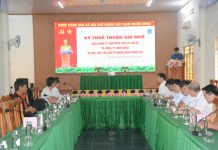 Cao su Chư Sê hợp tác với Vitad phát triển dự án trồng dứa công nghệ cao