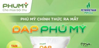 PVFCCo – Phú Mỹ chính thức ra mắt DAP Phú Mỹ, mở rộng danh mục sản phẩm và cung ứng nguồn phân bón chất lượng cao cho thị trường