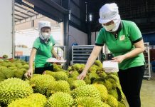 Ngoại giao kinh tế mở thị trường nông sản