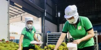 Ngoại giao kinh tế mở thị trường nông sản