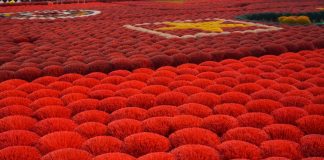 Giữ lửa nghề trăm năm giữa nhịp sống hiện đại