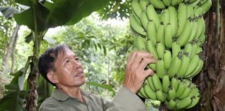 Làm giàu khác người: Một nghề thì sống, đống nghề…thành tỷ phú