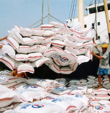 Tái cấu trúc để gạo Việt cất cánh trong năm 2026