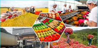 Xuất khẩu nông sản bứt phá ngay từ đầu năm 2026