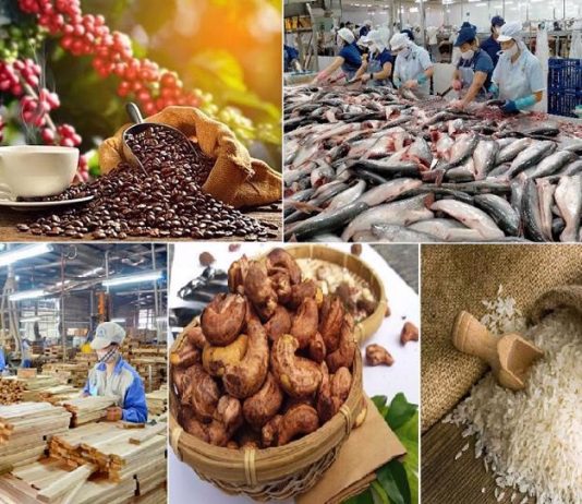 Xuất khẩu nông sản cần lưu ý những thay đổi về SPS từ các thị trường nhập khẩu