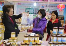 Quảng Ninh: Tổ chức Hội chợ OCOP Quảng Ninh – Xuân 2026