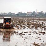 Thêm hơn 6% diện tích có nước để gieo cấy vụ Đông Xuân