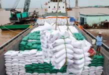 Nâng tỷ trọng gạo thơm trong xuất khẩu năm 2026