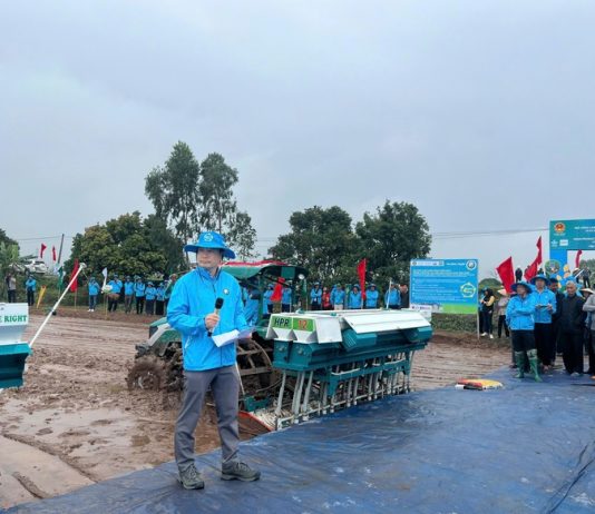 Lúa phát thải thấp: Đồng bằng sông Hồng vào guồng chuyển đổi xanh