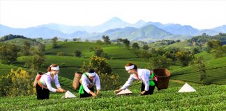 Phát triển sản phẩm OCOP gắn với du lịch – hướng đi gia tăng giá trị và thương hiệu địa phương