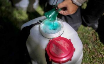 Giá thuốc bảo vệ thực vật tại Indonesia có thể tăng tới 30% do xung đột Trung Đông