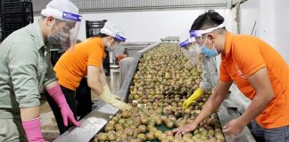 Doanh nghiệp xuất khẩu thực phẩm cần lưu ý quy định đăng ký mới của Trung Quốc