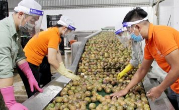 Doanh nghiệp xuất khẩu thực phẩm cần lưu ý quy định đăng ký mới của Trung Quốc