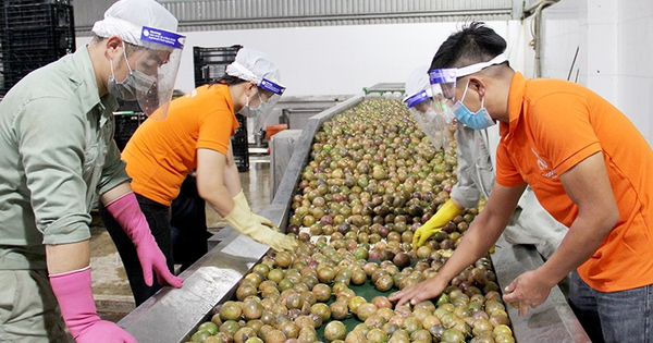 Doanh nghiệp xuất khẩu thực phẩm cần lưu ý quy định đăng ký mới của Trung Quốc