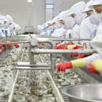 Xuất khẩu chuyển dịch từ lượng sang chất